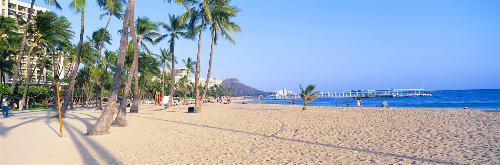 Wide sandy beach lined with palm trees in Hawaii, the kind of beach day a Hawaii packing list family version is built for