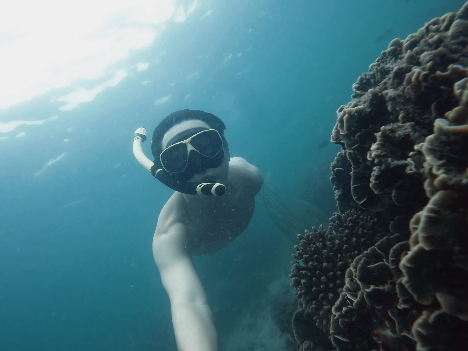 Snorkeler with mask and snorkel swimming beside a coral reef in clear blue water